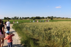 IMG_8823